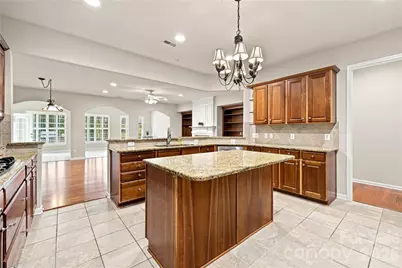39650 Rosebay Court, Indian Land, SC 29707 - Photo 8