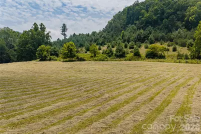 31 McClure Creek Road, Canton, NC 28716 - Photo 38