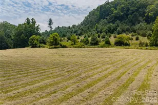 511 McClure Crk Rd, Canton, NC 28716 - Photo 38