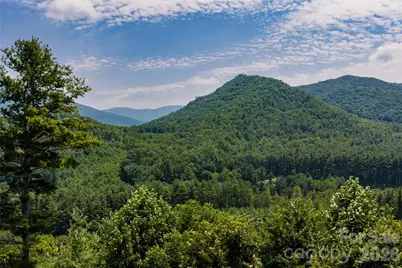31 McClure Creek Road, Canton, NC 28716 - Photo 42