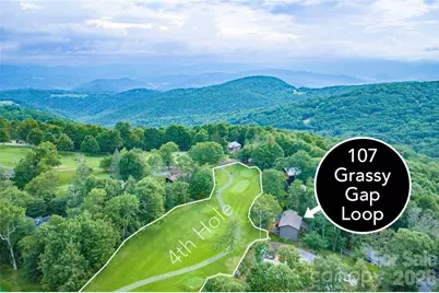 107 Grassy Gap Loop Road, Beech Mountain, NC 28604 - Photo 2
