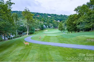 107 Grassy Gap Loop Road, Beech Mountain, NC 28604 - Photo 40