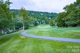 107 Grassy Gap Loop Rd, Beech Mountain, NC 28604 - Photo 40