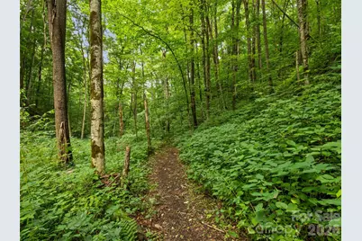 283 The High Road, Waynesville, NC 28786 - Photo 40