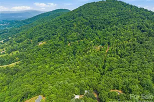226 High Top Mountain Rd, Leicester, NC 28748 - Photo 36