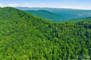 226 High Top Mountain Rd, Leicester, NC 28748 - Photo 42