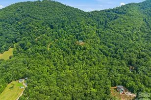 226 High Top Mountain Rd, Leicester, NC 28748 - Photo 34