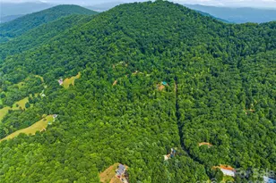 226 High Top Mountain Rd, Leicester, NC 28748 - Photo 38