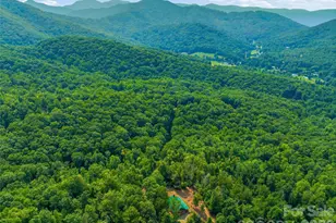 226 High Top Mountain Rd, Leicester, NC 28748 - Photo 32