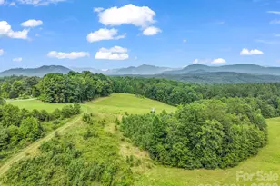 1054 Rainbow Rapids Rd, Rutherfordton, NC 28139 - Photo 42
