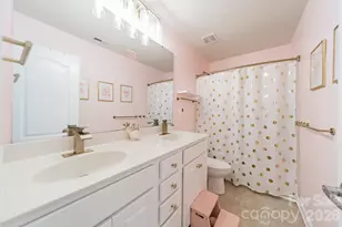 10003 Blue Stream Ln, Indian Trail, NC 28079 - Photo 36