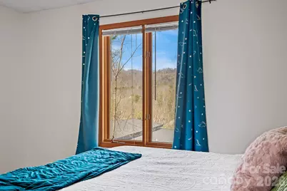 39 Spooks Branch Extension, Asheville, NC 28804 - Photo 20