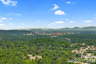 39 Spooks Branch Extension, Asheville, NC 28804 - Photo 38