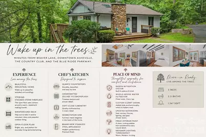 39 Spooks Branch Extension, Asheville, NC 28804 - Photo 2