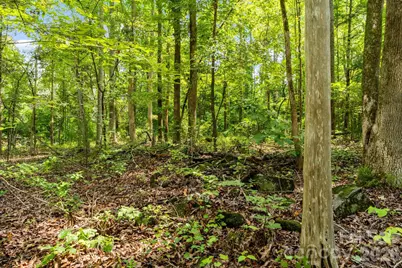 3312 McConnells Highway W, Sharon, SC 29742 - Photo 8
