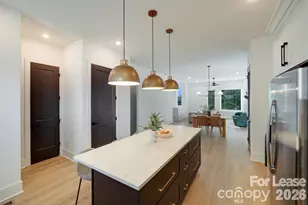 1213 E 36th St, Charlotte, NC 28205 - Photo 10