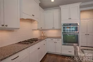 188 Wilson Lake Rd, Mooresville, NC 28117 - Photo 10