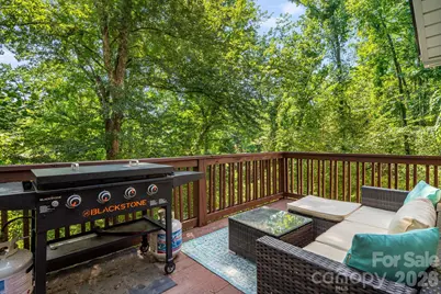 28 Greenbriar Road, Black Mountain, NC 28711 - Photo 16