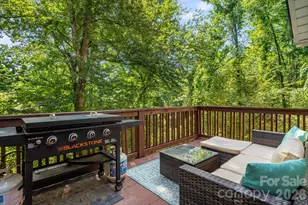 28 Greenbriar Rd, Black Mountain, NC 28711 - Photo 16