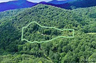 1523 Roaring Fork Rd, Burnsville, NC 28714 - Photo 38