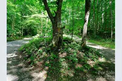 1523 Roaring Fork Road, Burnsville, NC 28714 - Photo 36