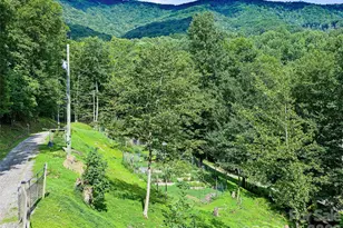 1523 Roaring Fork Rd, Burnsville, NC 28714 - Photo 32