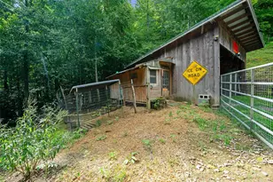 1523 Roaring Fork Rd, Burnsville, NC 28714 - Photo 30