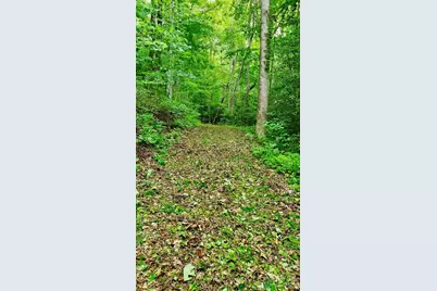 Lot 9 Hemlock Falls Drive #9, Sylva, NC 28779 - Photo 8