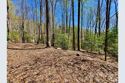 Lot 9 Hemlock Falls Drive #9, Sylva, NC 28779 - Photo 2