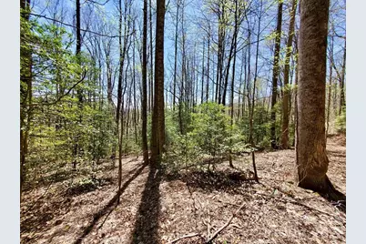 Lot 9 Hemlock Falls Drive #9, Sylva, NC 28779 - Photo 24