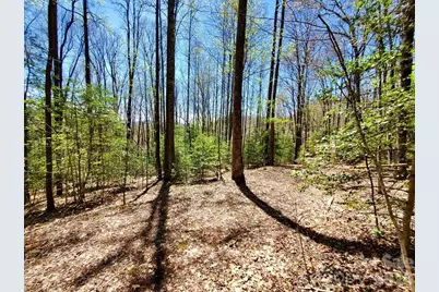 Lot 9 Hemlock Falls Drive #9, Sylva, NC 28779 - Photo 26
