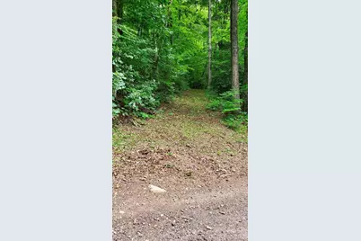 Lot 9 Hemlock Falls Drive #9, Sylva, NC 28779 - Photo 6