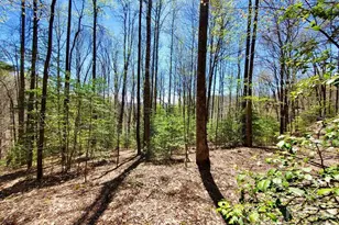Lot 9 Hemlock Falls Dr, Sylva, NC 28779 - Photo 1