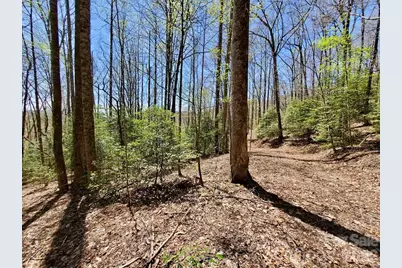 Lot 9 Hemlock Falls Drive #9, Sylva, NC 28779 - Photo 22