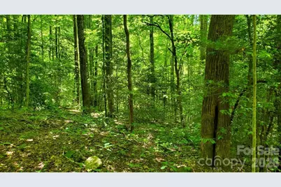 Lot 9 Hemlock Falls Drive #9, Sylva, NC 28779 - Photo 14
