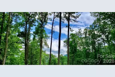 Lot 9 Hemlock Falls Drive #9, Sylva, NC 28779 - Photo 12
