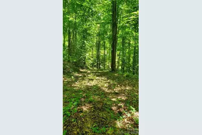 Lot 9 Hemlock Falls Drive #9, Sylva, NC 28779 - Photo 16