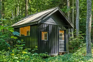 820 Merrills Cove Rd, Asheville, NC 28803 - Photo 40