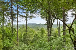 32 Uloque Ct, Brevard, NC 28712 - Photo 2