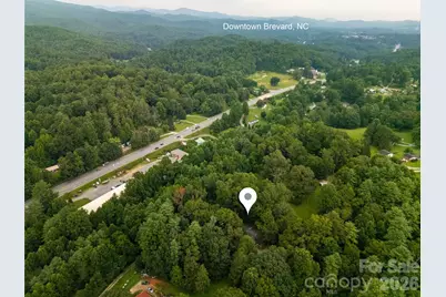 149 Tucked in Lane, Brevard, NC 28712 - Photo 2