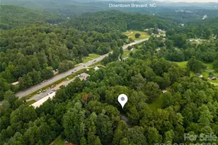 149 Tucked In Ln, Brevard, NC 28712 - Photo 2