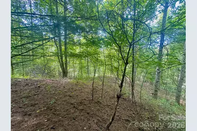Tbd Old Anderson Quarry Road, Vilas, NC 28692 - Photo 16