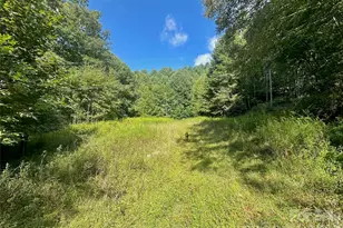 Tbd Old Anderson Quarry Rd, Vilas, NC 28692 - Photo 1