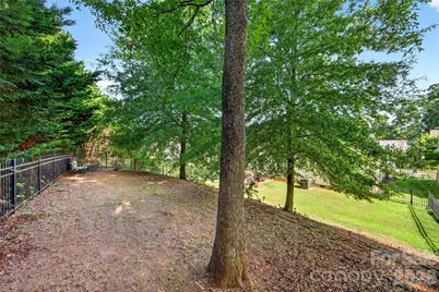 424 Anvil Draw Place, Rock Hill, SC 29730 - Photo 36