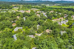 9 Kingfisher Ln, Mills River, NC 28759 - Photo 46