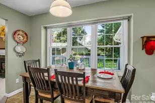 9 Kingfisher Ln, Mills River, NC 28759 - Photo 22
