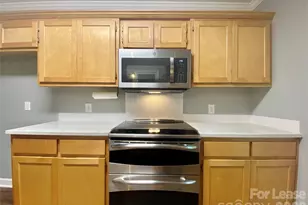 10115 Timberhitch Rd, Waxhaw, NC 28173 - Photo 12