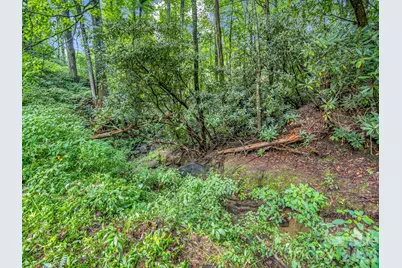 60 Owenby Cove Road, Fairview, NC 28730 - Photo 34