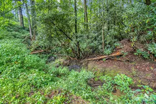 60 Owenby Cove Rd, Fairview, NC 28730 - Photo 34