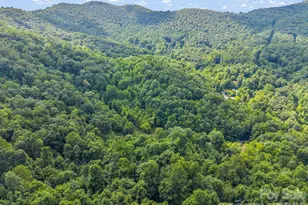 60 Owenby Cove Rd, Fairview, NC 28730 - Photo 38
